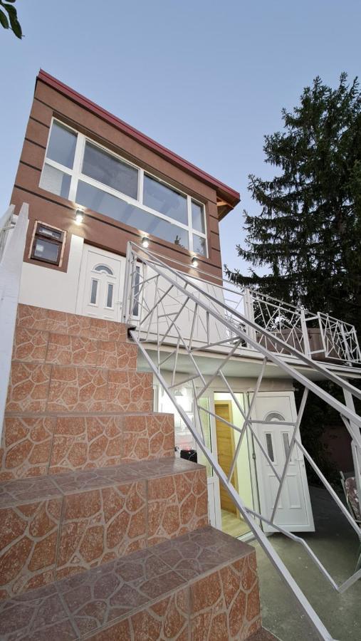 Villa Lux Star-Vila Za Odmor à Besenovacki Prnjavor Extérieur photo